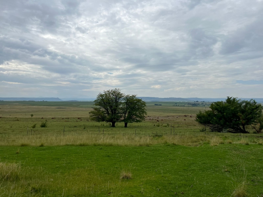 6 Bedroom Property for Sale in Ladybrand Rural Free State